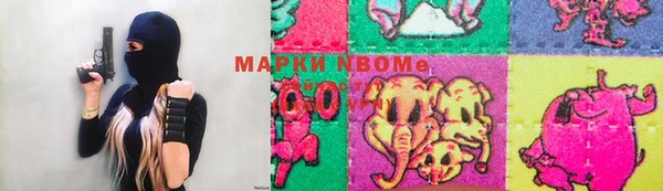 спиды Бородино
