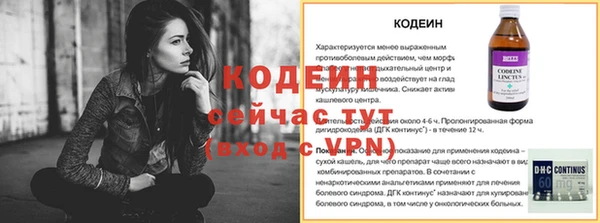 спиды Бородино