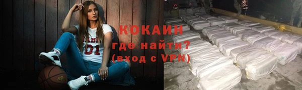 спиды Бородино