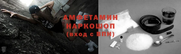 спиды Бородино
