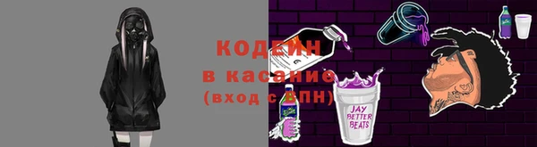 спиды Бородино