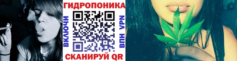 Каннабис ГИДРОПОН  Купить где  Тырныауз 